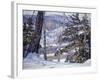 Winter-George Gardner Symons-Framed Art Print