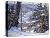 Winter-George Gardner Symons-Stretched Canvas