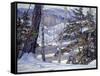 Winter-George Gardner Symons-Framed Stretched Canvas