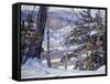 Winter-George Gardner Symons-Framed Stretched Canvas