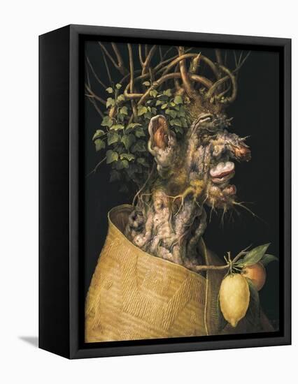 Winter-Giuseppe Arcimboldo-Framed Stretched Canvas