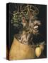 Winter-Giuseppe Arcimboldo-Stretched Canvas