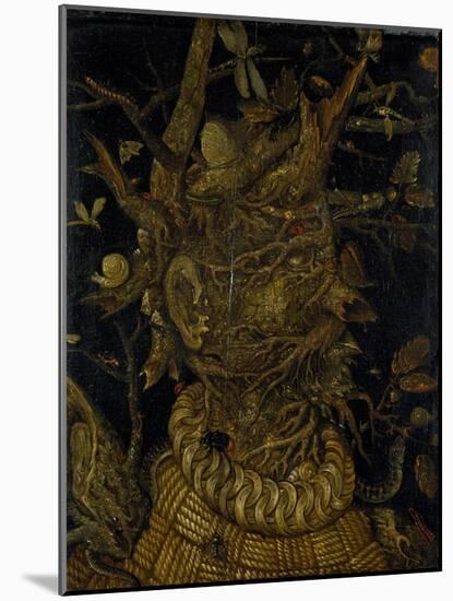 Winter-Giuseppe Arcimboldo-Mounted Giclee Print