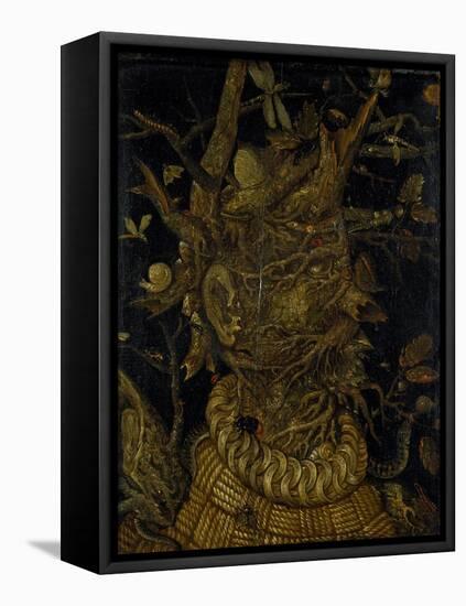 Winter-Giuseppe Arcimboldo-Framed Stretched Canvas