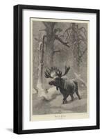 Winter-Joseph Wolf-Framed Premium Giclee Print