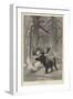 Winter-Joseph Wolf-Framed Premium Giclee Print