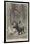 Winter-Joseph Wolf-Framed Giclee Print