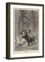 Winter-Joseph Wolf-Framed Giclee Print