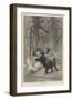 Winter-Joseph Wolf-Framed Giclee Print