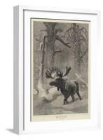 Winter-Joseph Wolf-Framed Giclee Print