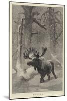 Winter-Joseph Wolf-Mounted Giclee Print