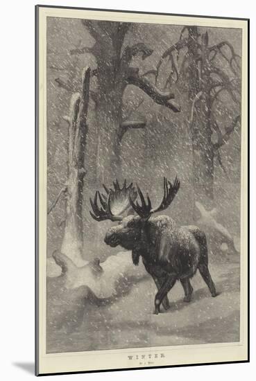 Winter-Joseph Wolf-Mounted Giclee Print