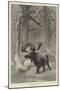 Winter-Joseph Wolf-Mounted Giclee Print