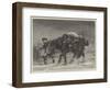 Winter-Richard Beavis-Framed Giclee Print