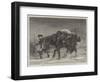 Winter-Richard Beavis-Framed Giclee Print