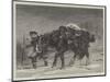 Winter-Richard Beavis-Mounted Giclee Print