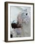 Winter-Stefan Fransson-Framed Photographic Print