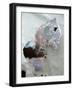 Winter-Stefan Fransson-Framed Photographic Print