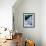 Winterclad-David McConochie-Framed Giclee Print displayed on a wall