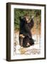Wintergreen, Virginia - Bear Playing with Snow-Lantern Press-Framed Art Print