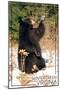 Wintergreen, Virginia - Bear Playing with Snow-Lantern Press-Mounted Art Print