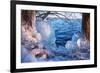 Winterimpression Am Schaalsee-Thomas Ebelt-Framed Photographic Print