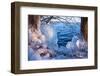 Winterimpression Am Schaalsee-Thomas Ebelt-Framed Photographic Print