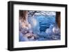 Winterimpression Am Schaalsee-Thomas Ebelt-Framed Photographic Print