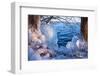 Winterimpression Am Schaalsee-Thomas Ebelt-Framed Photographic Print