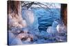 Winterimpression Am Schaalsee-Thomas Ebelt-Stretched Canvas