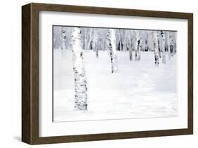 Winterland Path-Parker Greenfield-Framed Art Print