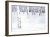 Winterland Path-Parker Greenfield-Framed Art Print