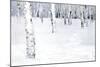 Winterland Path-Parker Greenfield-Mounted Art Print