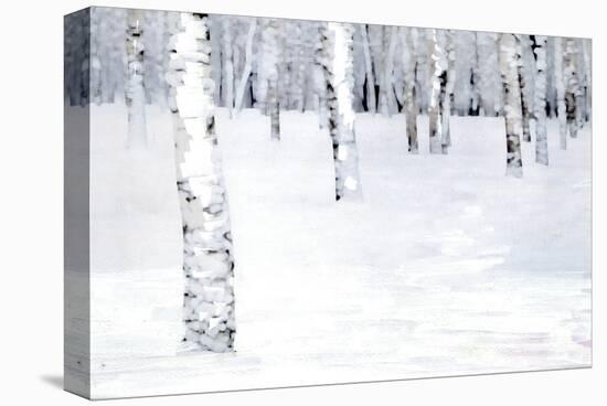 Winterland Path-Parker Greenfield-Stretched Canvas