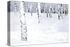 Winterland Path-Parker Greenfield-Stretched Canvas