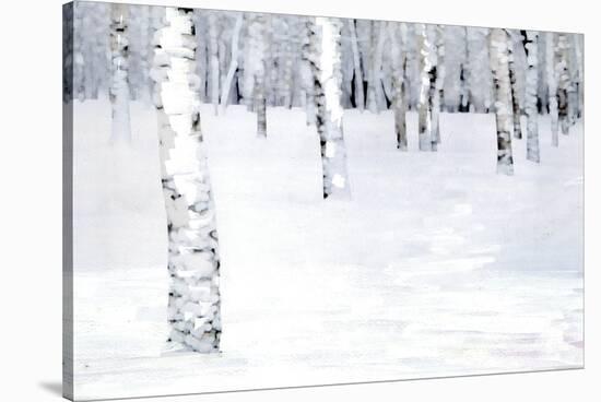 Winterland Path-Parker Greenfield-Stretched Canvas