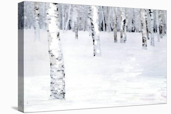 Winterland Path-Parker Greenfield-Stretched Canvas