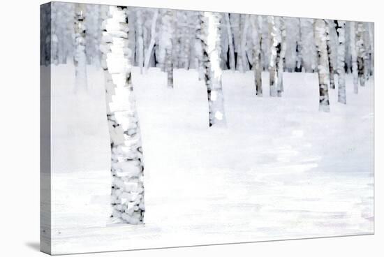 Winterland Path-Parker Greenfield-Stretched Canvas