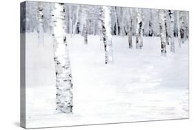 Winterland Path-Parker Greenfield-Stretched Canvas