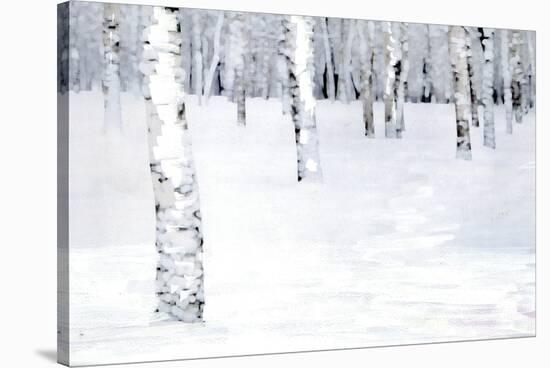 Winterland Path-Parker Greenfield-Stretched Canvas