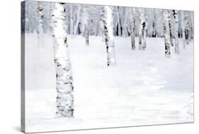 Winterland Path-Parker Greenfield-Stretched Canvas
