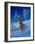 Winterland-Gordon Semmens-Framed Giclee Print