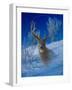 Winterland-Gordon Semmens-Framed Giclee Print