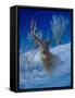 Winterland-Gordon Semmens-Framed Stretched Canvas