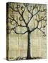 Winterlight Tree-Blenda Tyvoll-Stretched Canvas