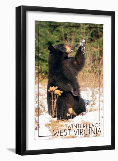 Winterplace, West Virginia - Bear Playing with Snow-Lantern Press-Framed Art Print