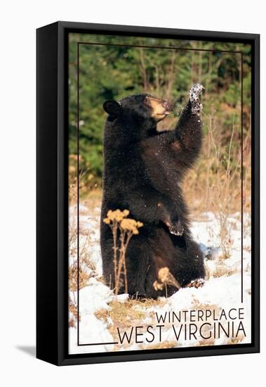 Winterplace, West Virginia - Bear Playing with Snow-Lantern Press-Framed Stretched Canvas