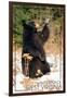 Winterplace, West Virginia - Bear Playing with Snow-Lantern Press-Framed Art Print