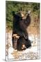 Winterplace, West Virginia - Bear Playing with Snow-Lantern Press-Mounted Art Print