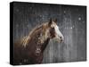 Winters Arrival Horse-Jai Johnson-Stretched Canvas